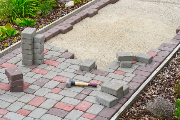 Best Driveway Paving Contractor  in Williamston, NC