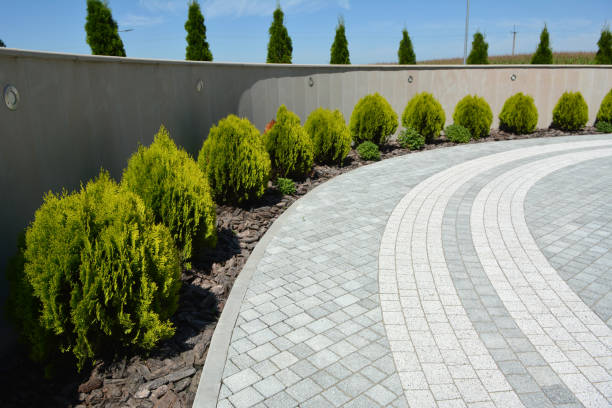 Best Local Driveway Pavers  in Williamston, NC