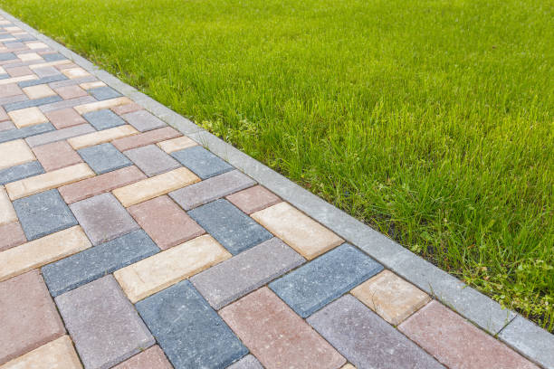 Best Driveway Pavers Near Me  in Williamston, NC